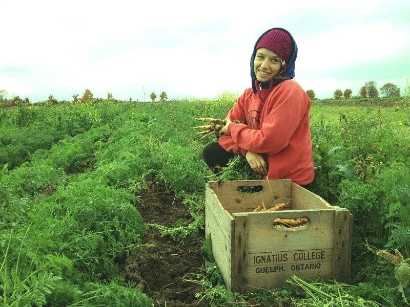 Fiddle Foot Farm