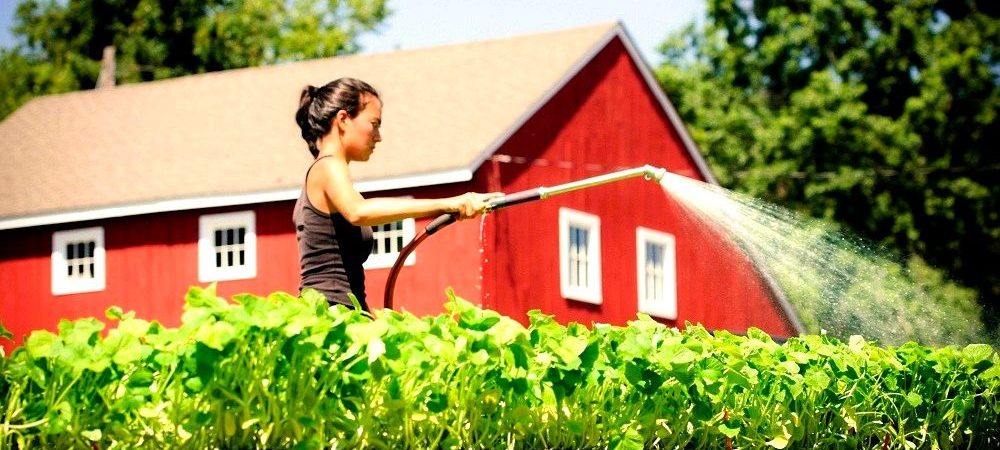 Organic Farms in Canada – How Does It Happen