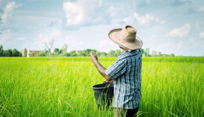 Collaborative regional alliances for farmer training