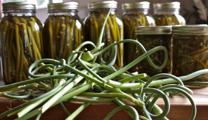 Pickled garlic scapes in jars and fresh garlic scapes