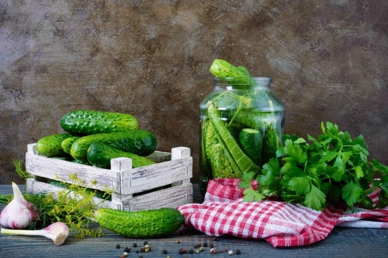 Fresh cucumbers in the jar with garlic and spices around are ready to be pickled